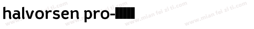 halvorsen pro字体转换